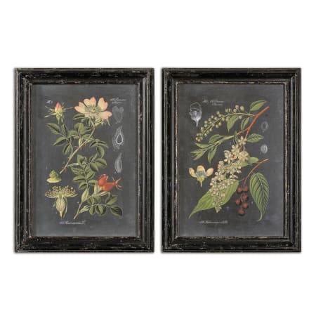 Uttermost Midnight Botanicals 33" x 25" Art Prints - Set of 2 Distressed Black