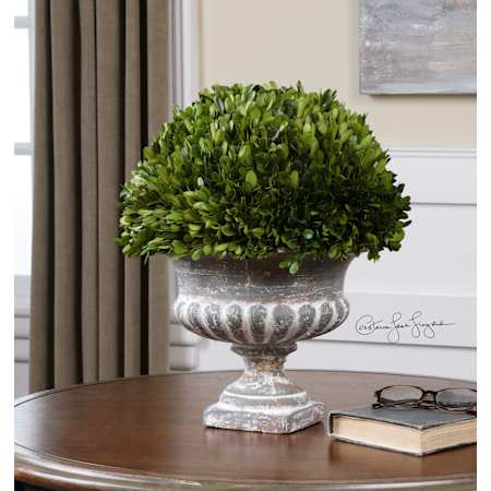Application Image