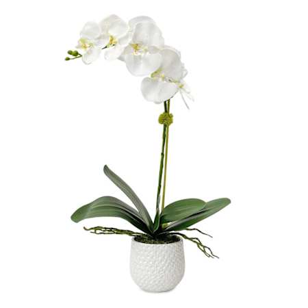 Uttermost Cami Orchid 24" Tall Ceramic Faux Flora Planter White
