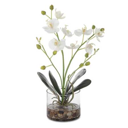Uttermost Glory 13" Tall Glass and Stone Faux Flora Planter Clear
