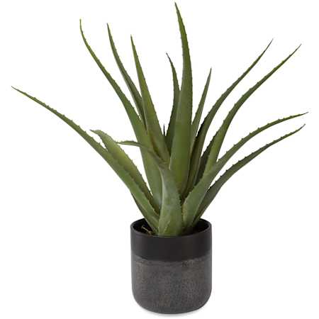Uttermost Tucson 19" Tall Ceramic Faux Flora Planter Matte Glass