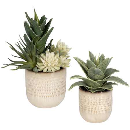 Uttermost Seaside Succulents 12" Tall Ceramic Faux Flora Planter - Set of 2 Tan