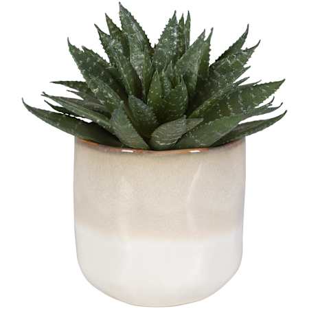 Uttermost Doha 10-1/2" Tall Ceramic Faux Flora Planter Beige