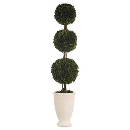 Uttermost Preserved Boxwood 33-1/2" Tall Terracotta Faux Flora Planter Chalk White
