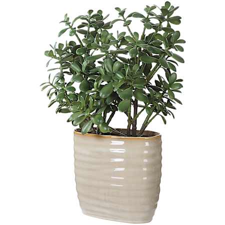 Uttermost Crassula Jade 23-1/2" Tall Ceramic Faux Flora Planter Tan