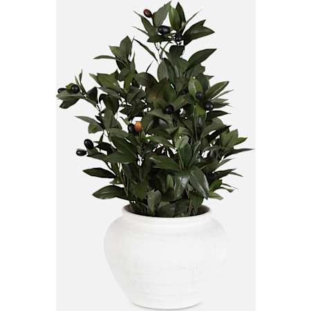 Uttermost Elena Olive 28" Tall Ceramic Faux Flora Planter Off-White