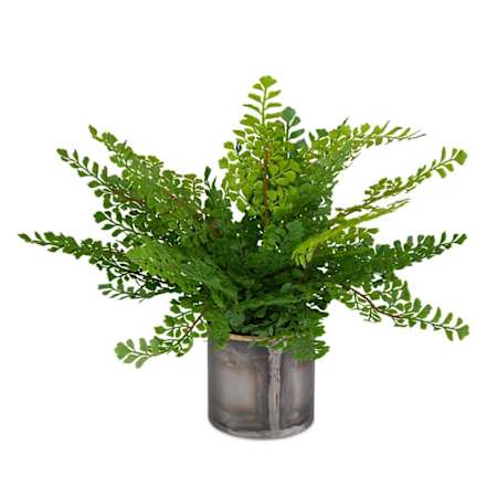 Uttermost Maidenhair Fern 14" Tall Metal Faux Flora Planter Oxidized Metal