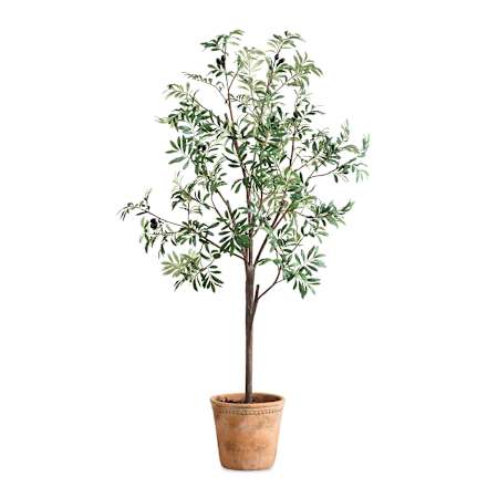 Uttermost Olea 67" Tall Olive Tree Artificial Plant in a Concrete Pot Olive / Terracotta