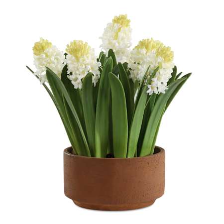 Uttermost Sincerity 17" Wide Hyacinth Flower Artificial Plant in a Planter White / Terracotta
