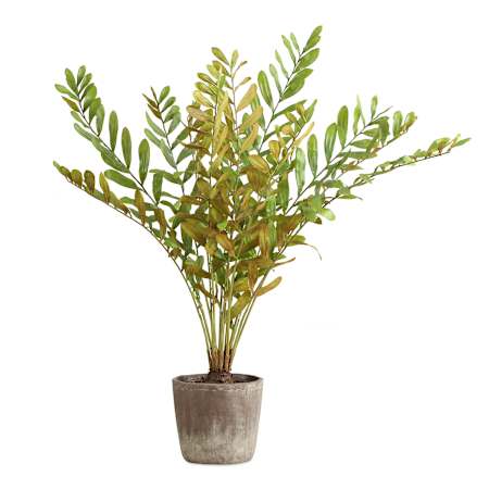 Uttermost Zamia 43" Wide Zamia Palm Artificial Plant in a Concrete Pot Foliage / Concrete