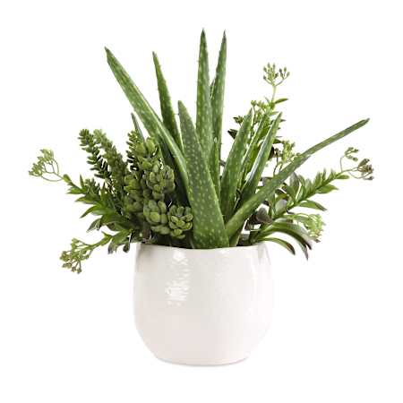 Uttermost Sundown Succulent 14" Wide Arid Succulents Artificial Plant in a Ceramic Planter Succulent / White