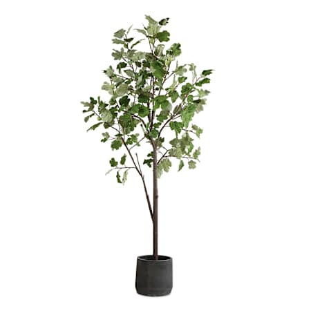 Uttermost Eden 108" Tall Fig Tree Artificial Plant in a Concrete Pot Green / Characoal