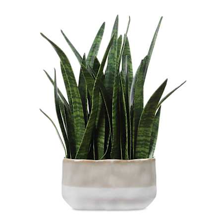 Uttermost Sansera Snake Accent Plant Green