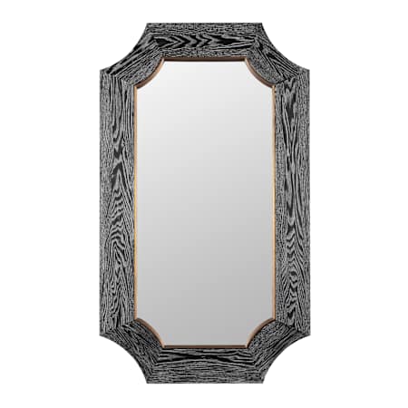 Varaluz Farra 26" Wide X 44" High Specialty Flat Wood Framed Accent Mirror Black