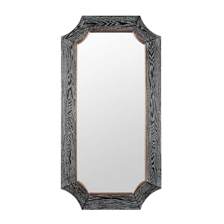 Varaluz Farra 28" Wide X 54" High Specialty Flat Wood Framed Accent Mirror Black