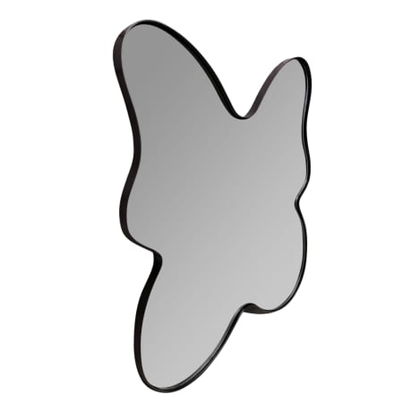 Alternate View