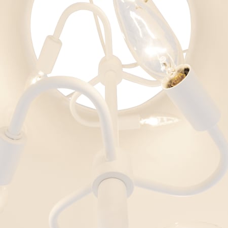 Alternate Image