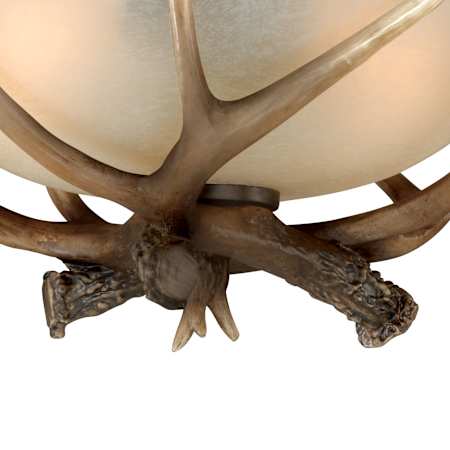 Alternate Image