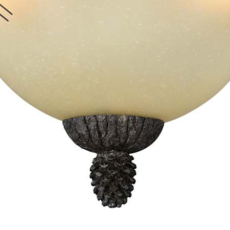 Alternate Image