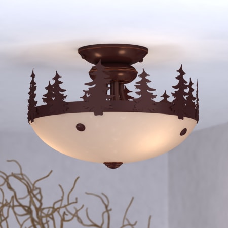 Alternate View