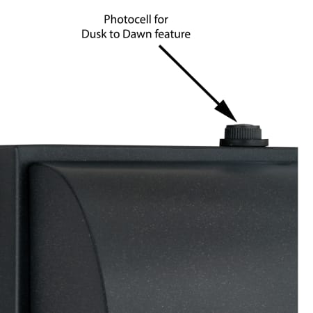Alternate Image