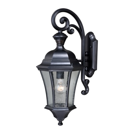 Vaxcel Lighting Aberdeen Single Light 23" High Outdoor Wall Sconce Shiny Black