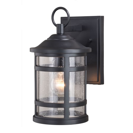 Vaxcel Lighting Southport 12" Tall Outdoor Wall Sconce Lantern Matte Black