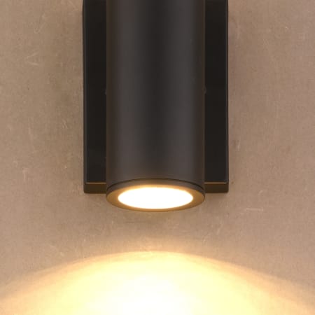 Alternate Image