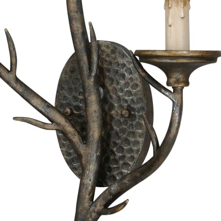Alternate View