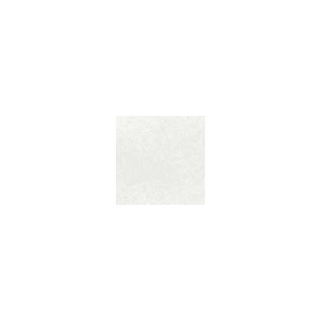 Blinds Color