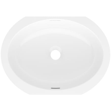 Victoria and Albert Kaali 18-3/8" Oval Volcanic Limestone Undermount Bathroom Sink with Overflow Gloss White