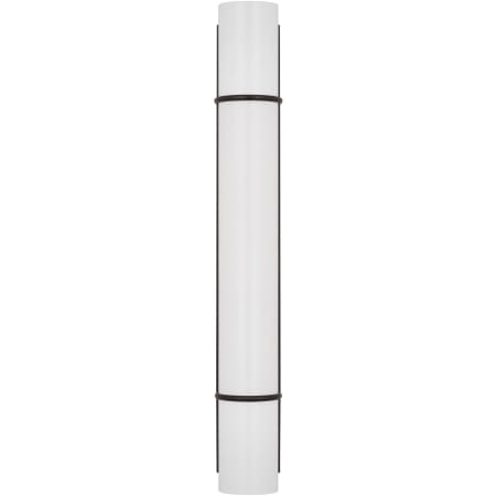 Visual Comfort Amelie 20" Tall Bath Bar Aged Iron