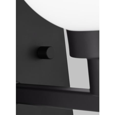 Alternate Image