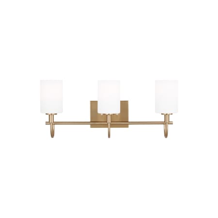 Visual Comfort Oak Moore 3 Light 24" Wide Vanity Light with Frosted Glass Shades Satin Brass