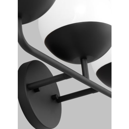 Alternate Image