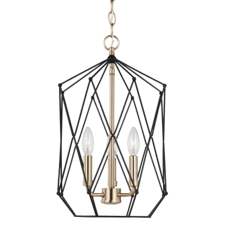 Visual Comfort Zarra 3 Light 12" Wide Cage Pendant Satin Brass