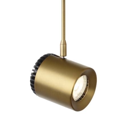 Visual Comfort Burk 9" Tall Integrated LED FreeJack Spotlight Head with Adjustable Head and 6" Stem - 80 CRI LED, 20 Degree Beam Spread Aged Brass / 2700K