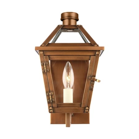 Visual Comfort Hyannis 13" Tall Outdoor Wall Sconce Natural Copper