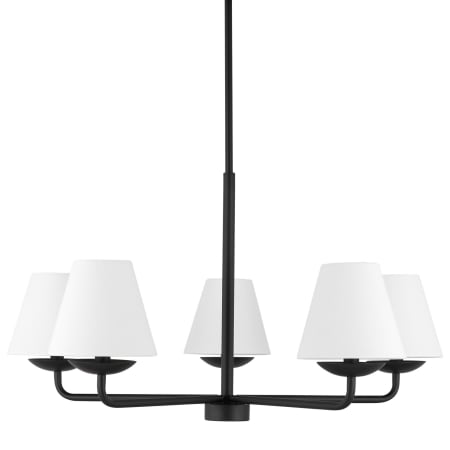 Visual Comfort Albion 5-Light Medium Chandelier by Drew & Jonathan Midnight Black