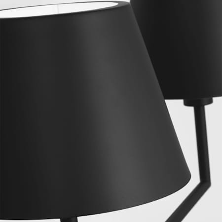 Alternate Image