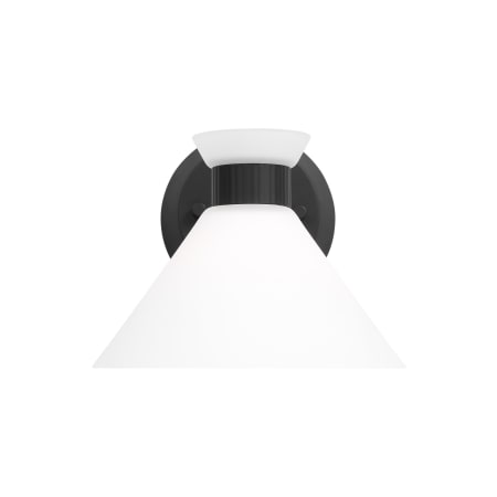 Visual Comfort Belcarra 1-Light Vanity by Drew & Jonathan Midnight Black