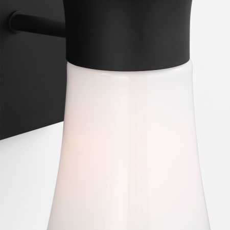Alternate Image