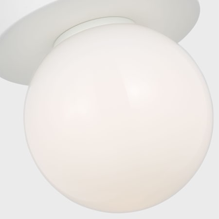 Alternate Image