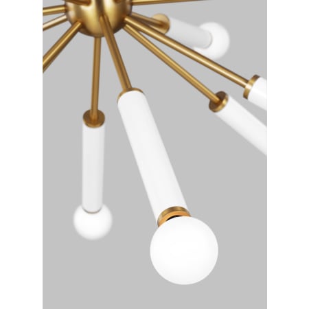 Alternate Image