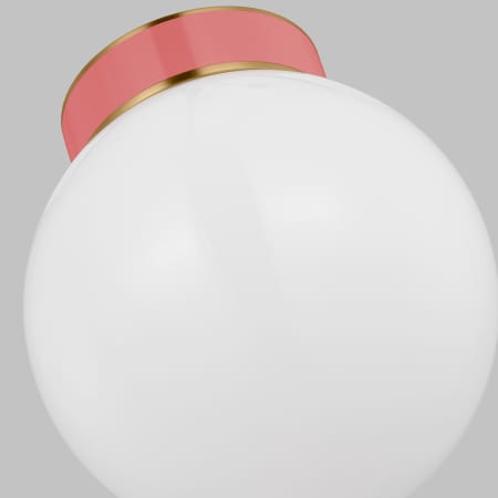 Alternate Image