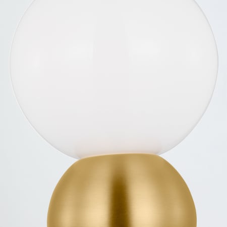 Alternate Image