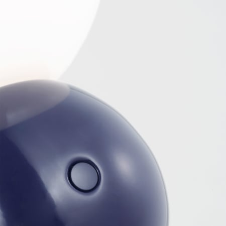 Alternate Image