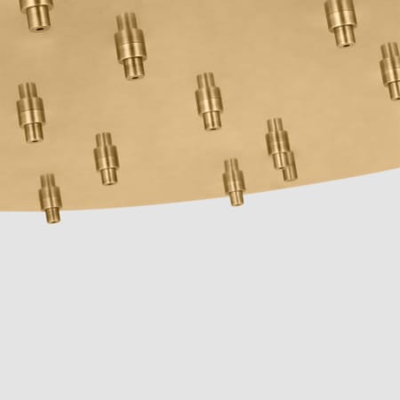 Alternate Image