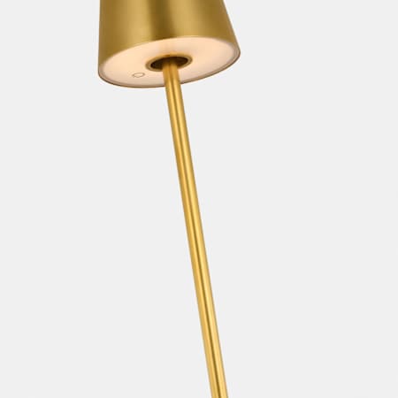 Alternate Image