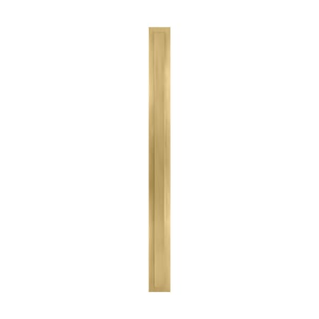 Alternate Image